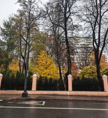 Фото: Сдам коммерческое помещение 70 м2, Гороховский пер, 21, Москва г test