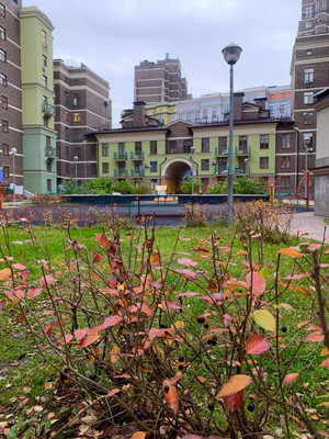 Фото: Продается коммерческое помещение, test