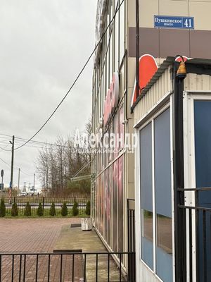 Фото: Готовое, рабочее кафе Монте Карло test