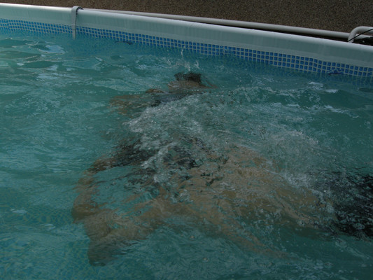 Фото: Продажа test