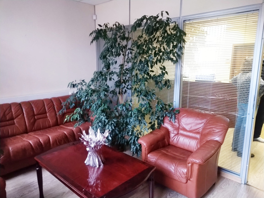 Фото: Бизнес-центр test