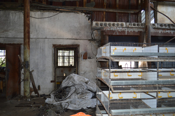 Фото: Продается коммерческое помещение, test