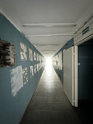 Фото: Сдается коммерческое помещение, test