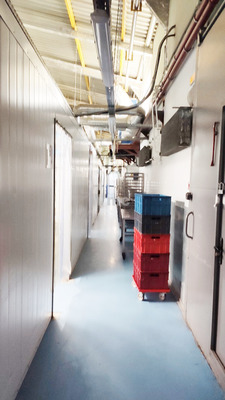 Фото: Пищевое Производственное test