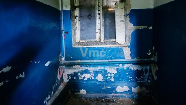 Фото: Сдается в аренду подвальное пом-е test