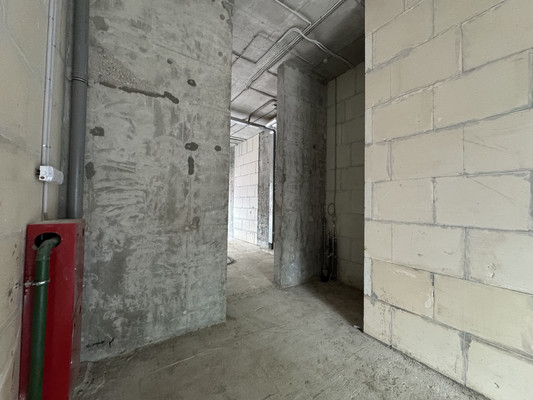 Фото: Первая линия у остановки test