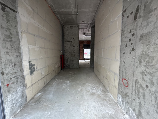 Фото: Первая линия у остановки test