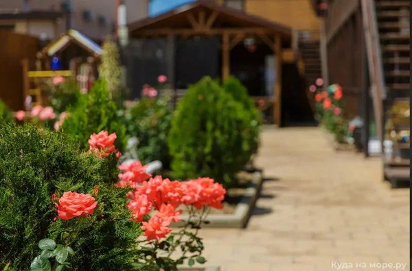 Фото: Апартаменты в гостевом доме. test