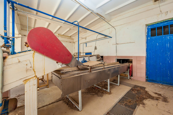 Фото: Консервный завод с участком! test