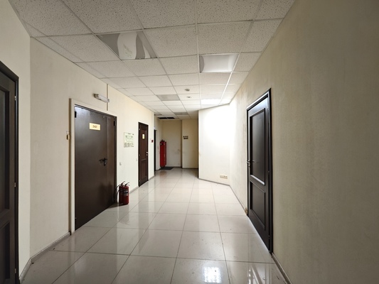 Фото: Сдам офис в центре города test