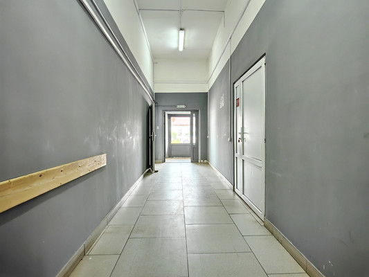 Фото: Сдается коммерческое помещение, test