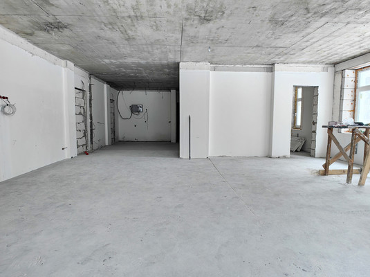 Фото: Пом. у входа на "Спартак", 98м2 test