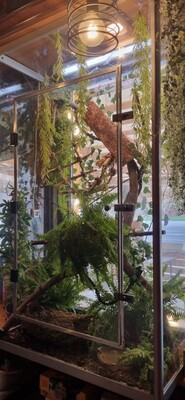 Фото: Продам коммерческое помещение 50 м2, Щёлковское ш, 94, Москва г test