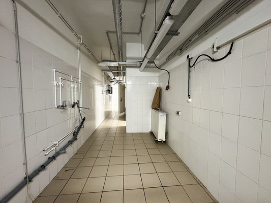 Фото: Сдам ресторан 543.5 м2, Ленина пр-кт, 49, Екатеринбург г test