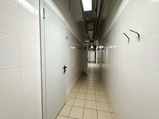 Фото: Сдам ресторан 543.5 м2, Ленина пр-кт, 49, Екатеринбург г test