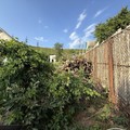Участок на продажу в Новороссийске, Нижнешоссейная ул, 42 фото №4