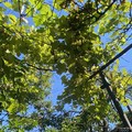 Квартира на продажу в Туапсе, Спинова ул, 5 фото №1