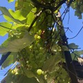 Квартира на продажу в Туапсе, Спинова ул, 5 фото №2