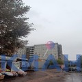 Комната на продажу в Красноярске, Щорса ул, 60 фото №7
