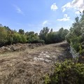 Участок на продажу в Новороссийске, 9-й км фото №4