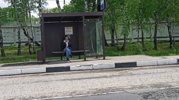 Продам дачу, Ромашка тер. СНТ, 87, Лиды д, 0 км от города