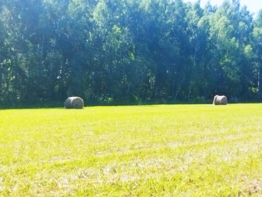 Продам участок 10 соток, ИЖС, поселок Белугино, Белугино д, 95 км от города