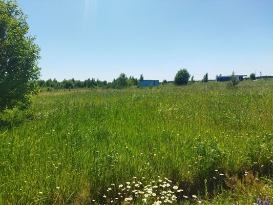 Продам участок 20 соток, ИЖС, поселок Белугино, Белугино д, 95 км от города