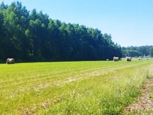 Продам участок 20 соток, ИЖС, поселок Белугино, Белугино д, 95 км от города