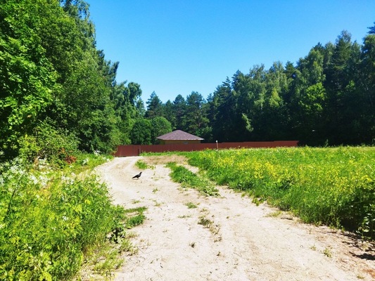 Продам участок 10 соток, ИЖС, поселок Белугино, Белугино д, 95 км от города