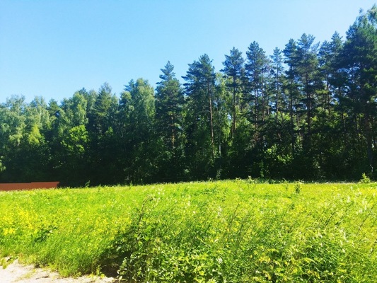 Продам участок 10 соток, ИЖС, поселок Белугино, Белугино д, 95 км от города