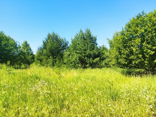 Продам участок 6,3 соток, ИЖС, поселок Белугино, Белугино д, 95 км от города