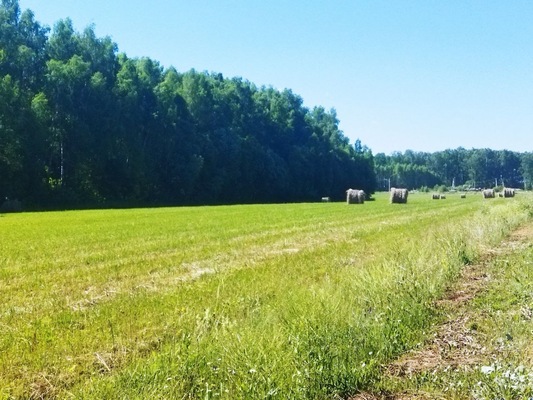 Продам участок 6,3 соток, ИЖС, поселок Белугино, Белугино д, 95 км от города