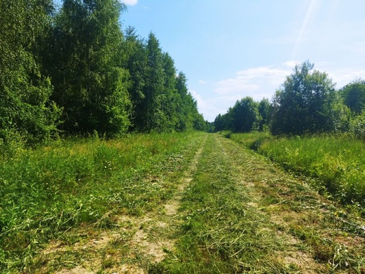 Продам участок 10 соток, ИЖС, поселок Есуковский, Есуковский п, 95 км от города