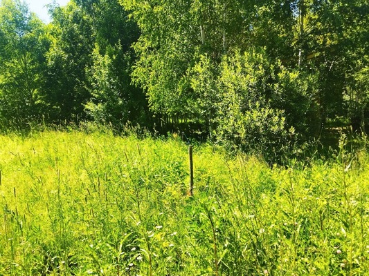 Продам участок 12 соток, ИЖС, поселок Есуковский, Есуковский п, 95 км от города