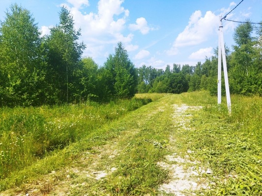 Продам участок 12 соток, ИЖС, поселок Есуковский, Есуковский п, 95 км от города