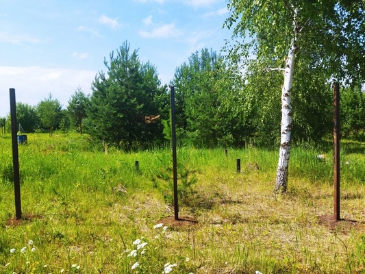 Продам участок 10 соток, ИЖС, поселок Белугино, Белугино д, 95 км от города