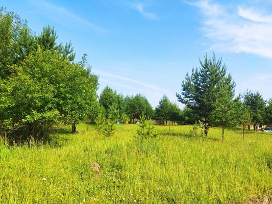 Продам участок 10 соток, ИЖС, поселок Белугино, Белугино д, 95 км от города