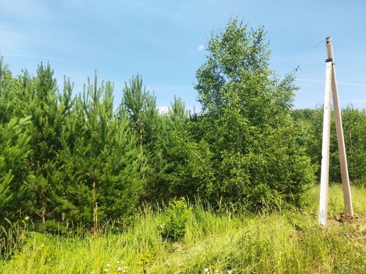 Продам участок 10 соток, ИЖС, поселок Белугино, Белугино д, 95 км от города