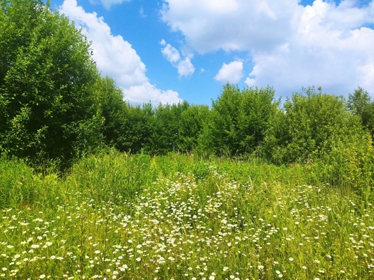 Продам участок 17,3 соток, ИЖС, поселок Белугино, Белугино д, 95 км от города