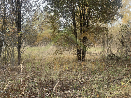 Продам участок 9 соток, Фермерское хоз., 200, СНТ Целитель тер, 0 км от города