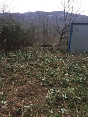 Погода краевско армянское