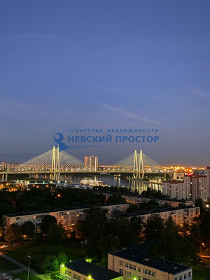 Продам однокомнатную (1-комн.) квартиру, Русановская ул, 9, Санкт-Петербург г