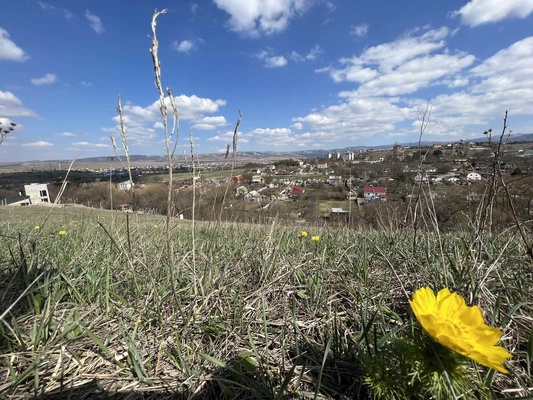 Продам участок 6,25 соток, ИЖС, им А.Медиева ул, Пионерское с, 0 км от города