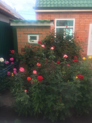 Продам дом, Павлова ул, 245, Ейск г, 0 км от города