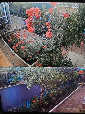 Продам дом, Павлова ул, 245, Ейск г, 0 км от города