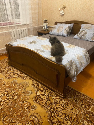 Продам дом, Павлова ул, 245, Ейск г, 0 км от города