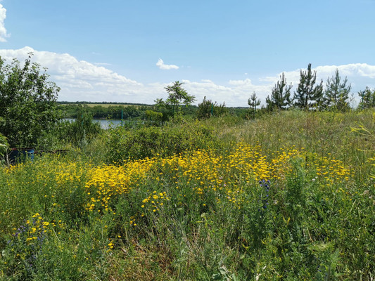 Продам дом, 3кА, Пятихатки х, 0 км от города