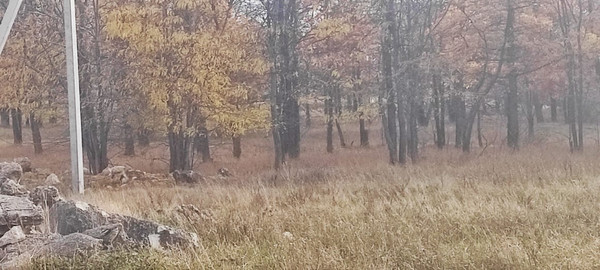 Продам участок 8 соток, ИЖС, Февзи Билялова ул, Мирное с, 0 км от города