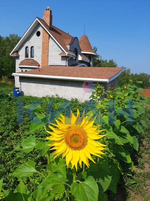 Продам коттедж, Центральная ул, 88, Старцево д, 0 км от города