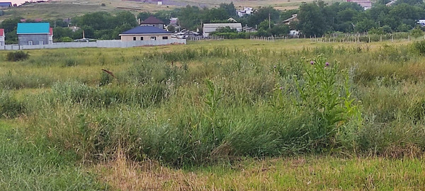 Продам участок 6 соток, Фермерское хоз., Мира ул, 127, Пожарское с, 0 км от города